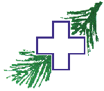 Wilderness medicine Logo