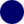 335 - Navy Blue