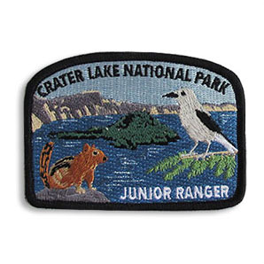 non-profit patch